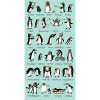 TYRRELL KATZ PENGUINS Havlu 70 x 140cm